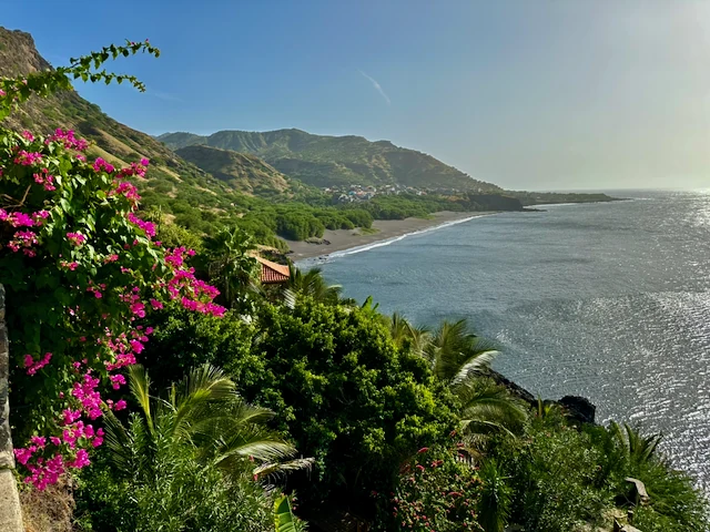 Bougainvillea and coastline