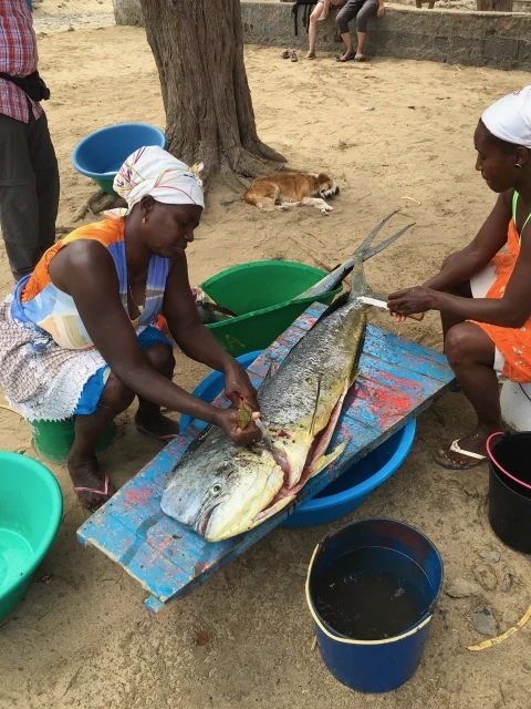 Local fishing