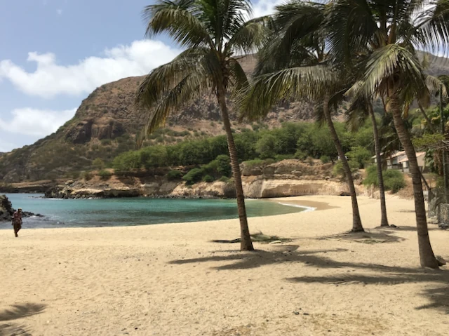 Palm beach